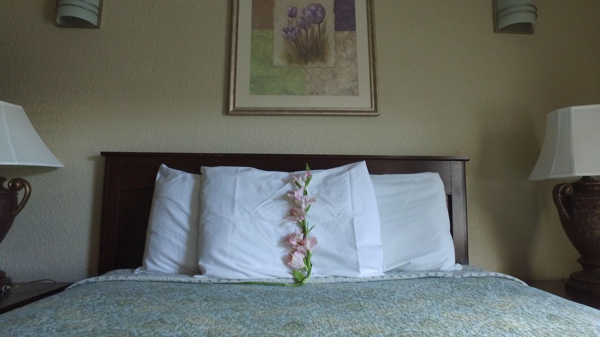 Athens Hotel & Suites Χιούστον Εξωτερικό φωτογραφία