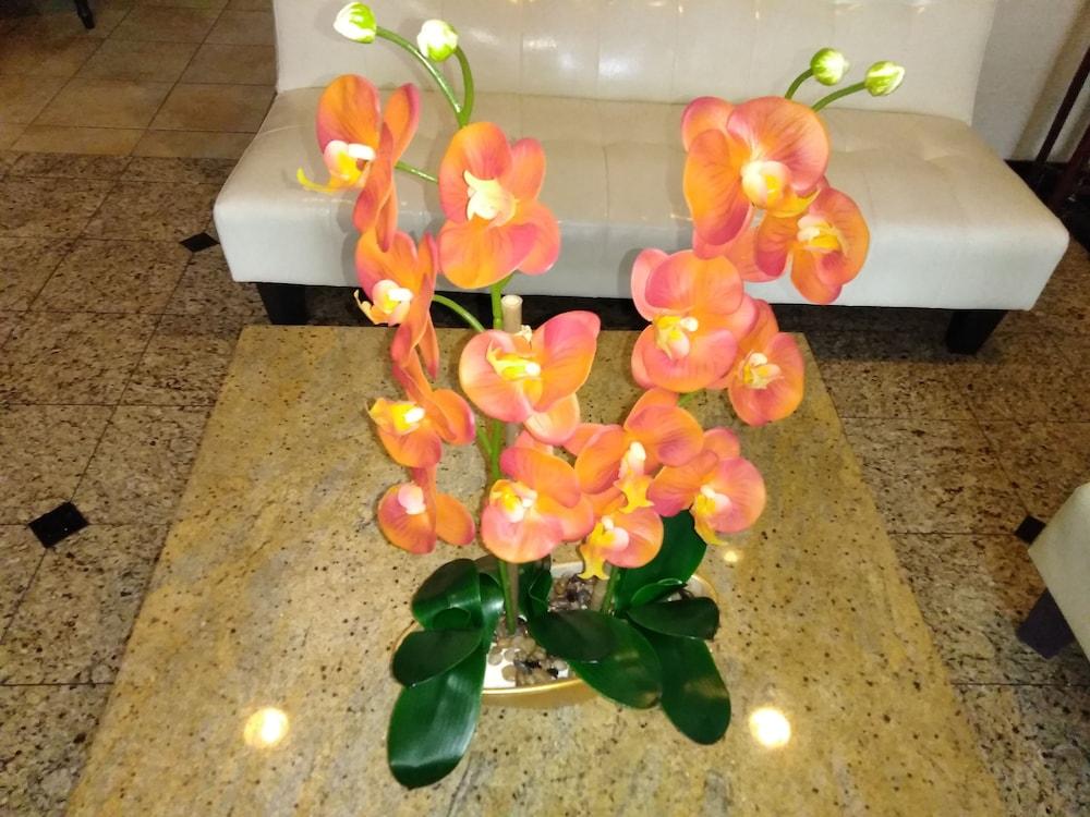 Athens Hotel & Suites Χιούστον Εξωτερικό φωτογραφία